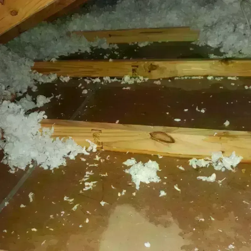 Attic Water Damage in La Crosse, WI